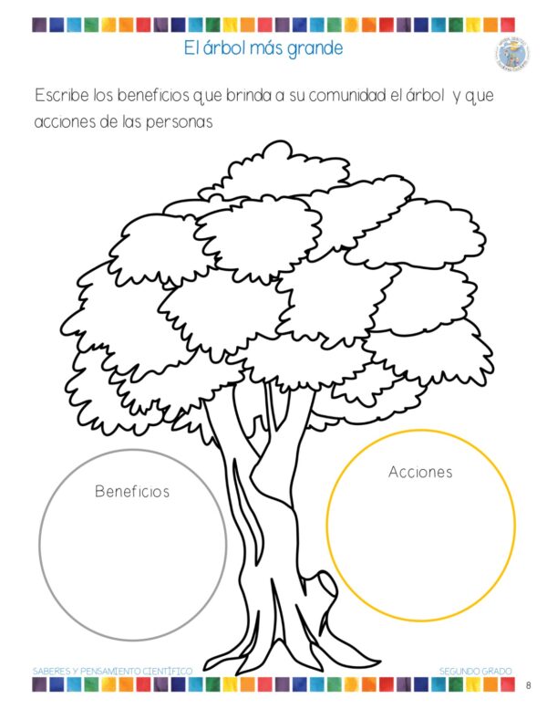 Planeación y Cuadernillo SEPTIEMBRE 6to Grado - Imagen 13