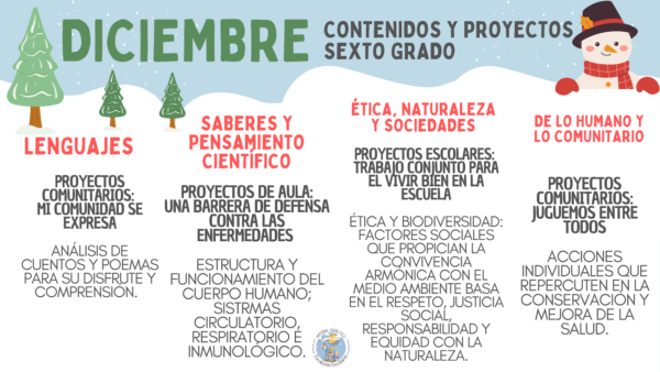 Planeación y Cuadernillo Diciembre 6to Grado - Imagen 8